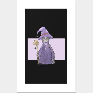 Sloth the Wizard Posters and Art